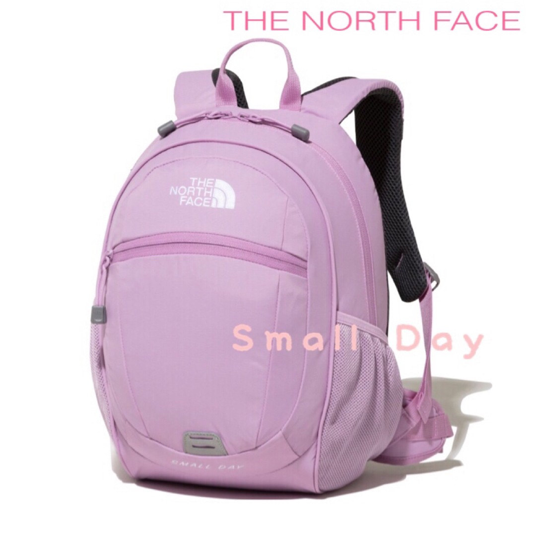 THE NORTH FACE - 15L☆スモーキーグレープ☆スモールデイ☆ノース