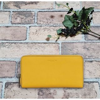 コーチ(COACH) 財布(レディース)(イエロー/黄色系)の通販 300点以上