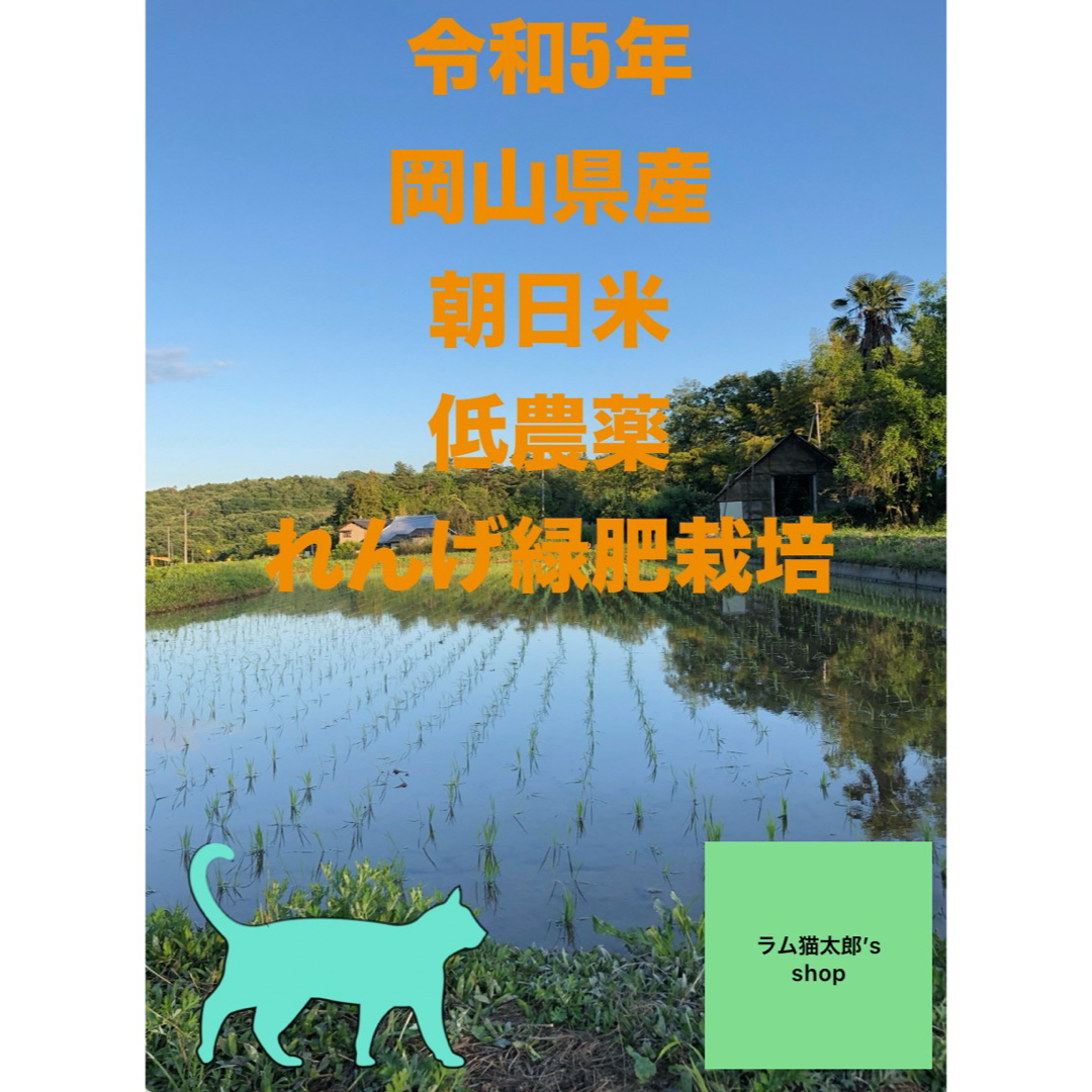 令和5年岡山県産　低農薬『れんげ緑肥栽培』『朝日米』　玄米20キロ　送料無料