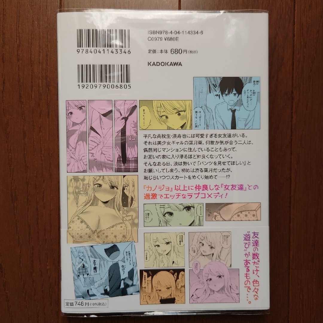 女友達は頼めば意外とヤらせてくれる　１ エンタメ/ホビーの漫画(青年漫画)の商品写真