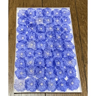 ② 銀の紫陽花が作った青く美しいアメリカンブルーのドライフラワー‼️(ドライフラワー)