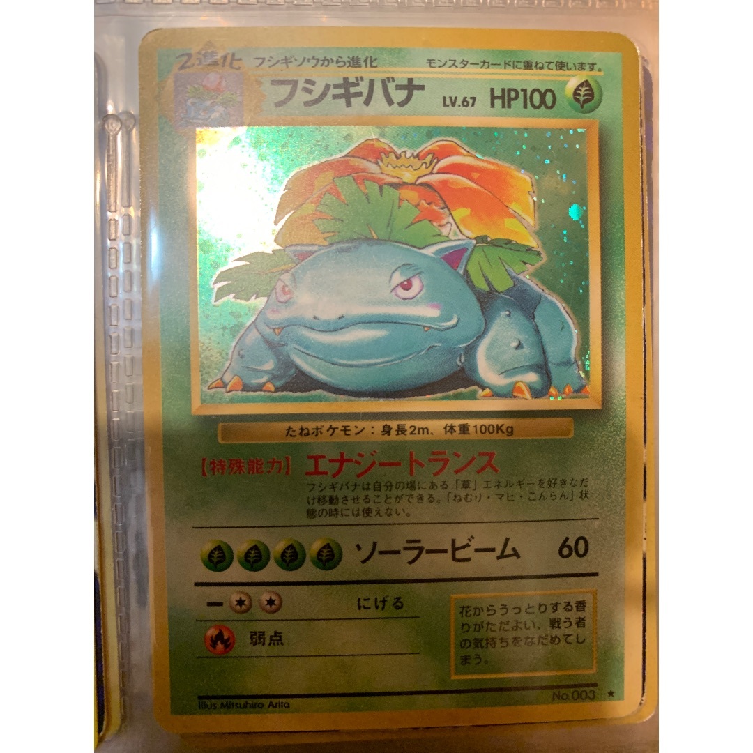 ポケモン - 初期フシギバナ
