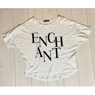 ニコル(NICOLE)のカットソー Tシャツ 白t サイズ38(Tシャツ/カットソー(半袖/袖なし))