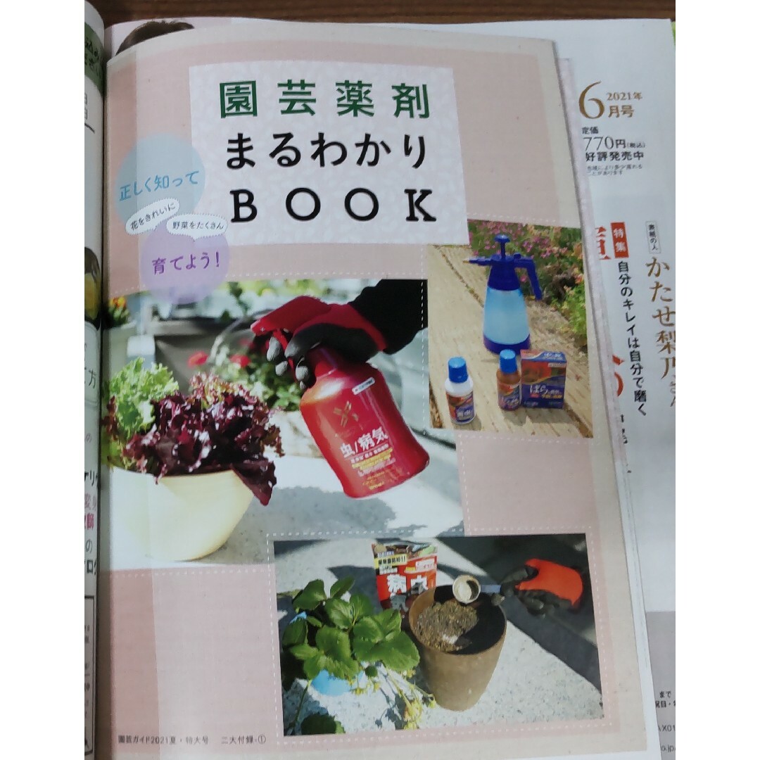 再値下げ★園芸ガイド2021年夏・特大号 ホームガーデニングで夏を過ごそう 付録 エンタメ/ホビーの雑誌(趣味/スポーツ)の商品写真