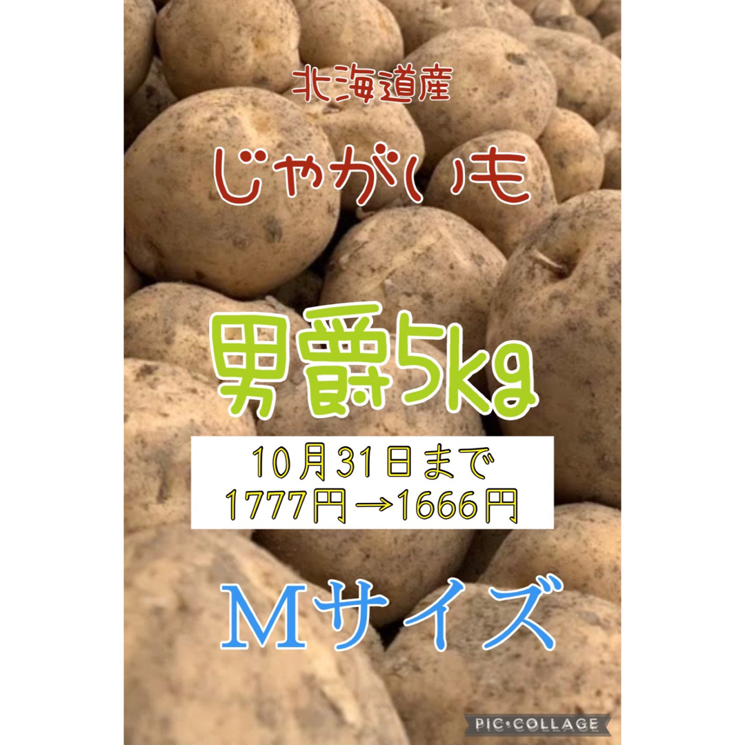 山中農園｜ラクマ　北海道産じゃがいも男爵5kgの通販　by