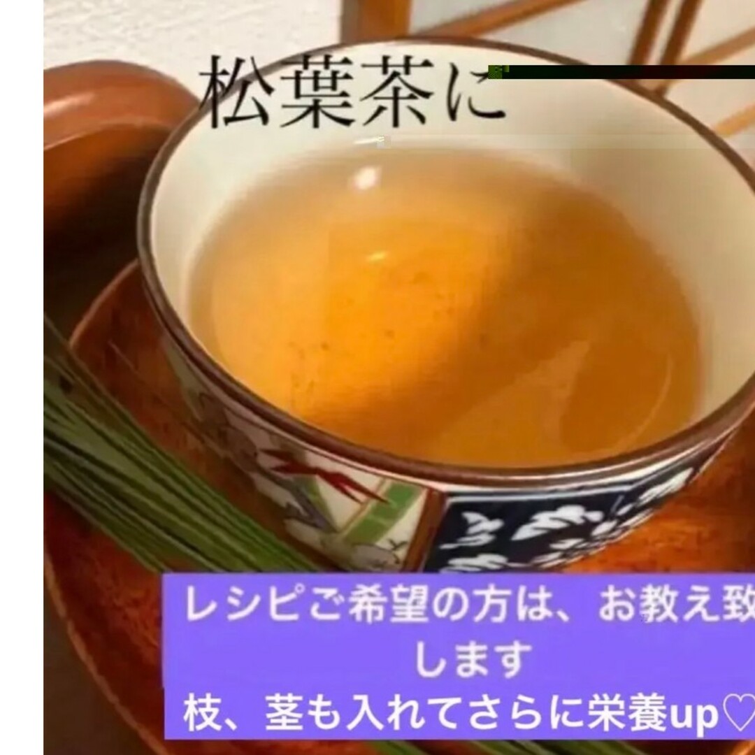 赤松松葉 新芽 松の葉、松葉ジュース、松葉茶などに、300㌘ 新鮮 食品/飲料/酒の食品(野菜)の商品写真