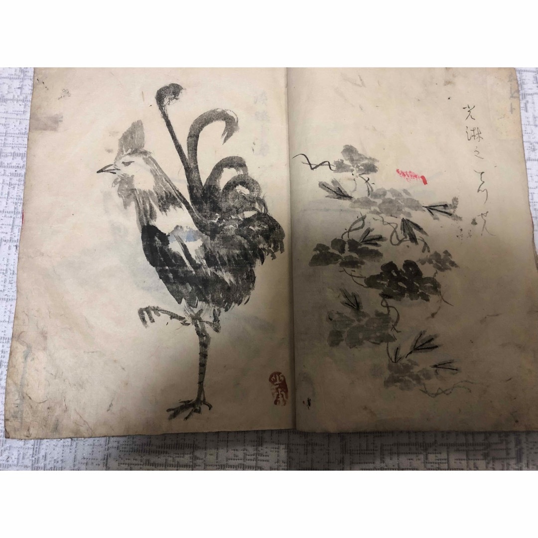 和本　画平本　江戸時代　魚屋北渓 エンタメ/ホビーの美術品/アンティーク(書)の商品写真