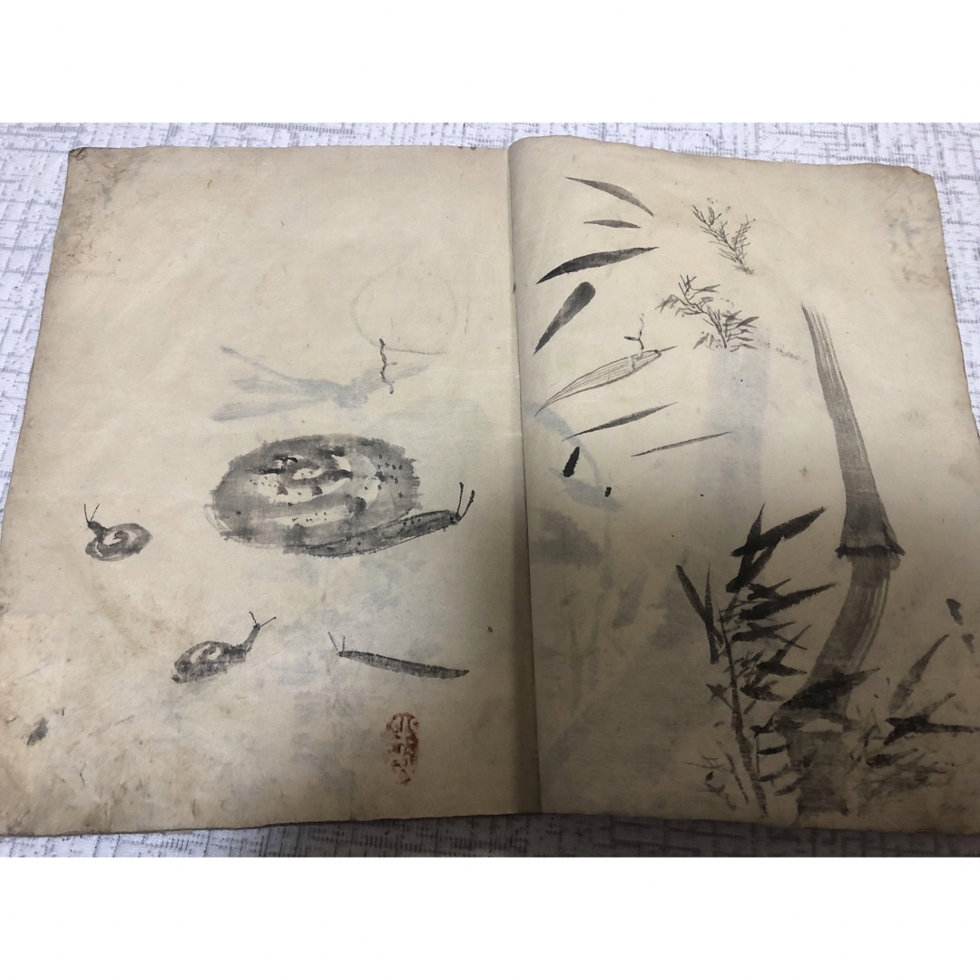 和本　画平本　江戸時代　魚屋北渓 エンタメ/ホビーの美術品/アンティーク(書)の商品写真