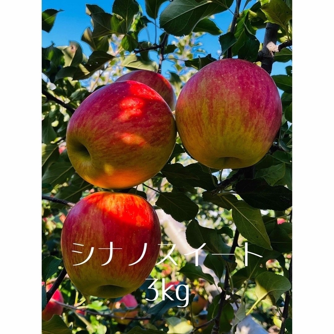 信州産　シナノスイート　3kg 食品/飲料/酒の食品(フルーツ)の商品写真