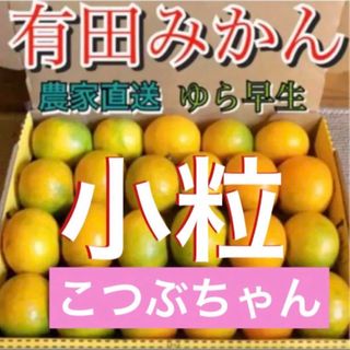 和歌山有田みかん　ゆら早生小粒コンパクト(フルーツ)