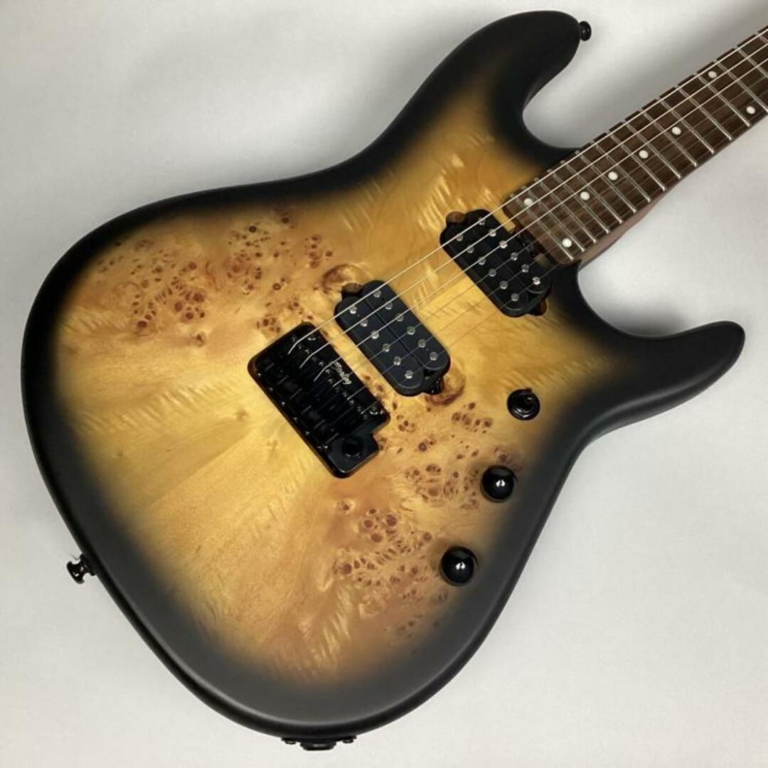 Sterling by MUSIC MAN（スターリン）/Richardson6 Natural Poplar Burl Burst Cutlass スターリン リチャードソン6弦 【USED】エレクトリックギター【新所沢パルコ店】