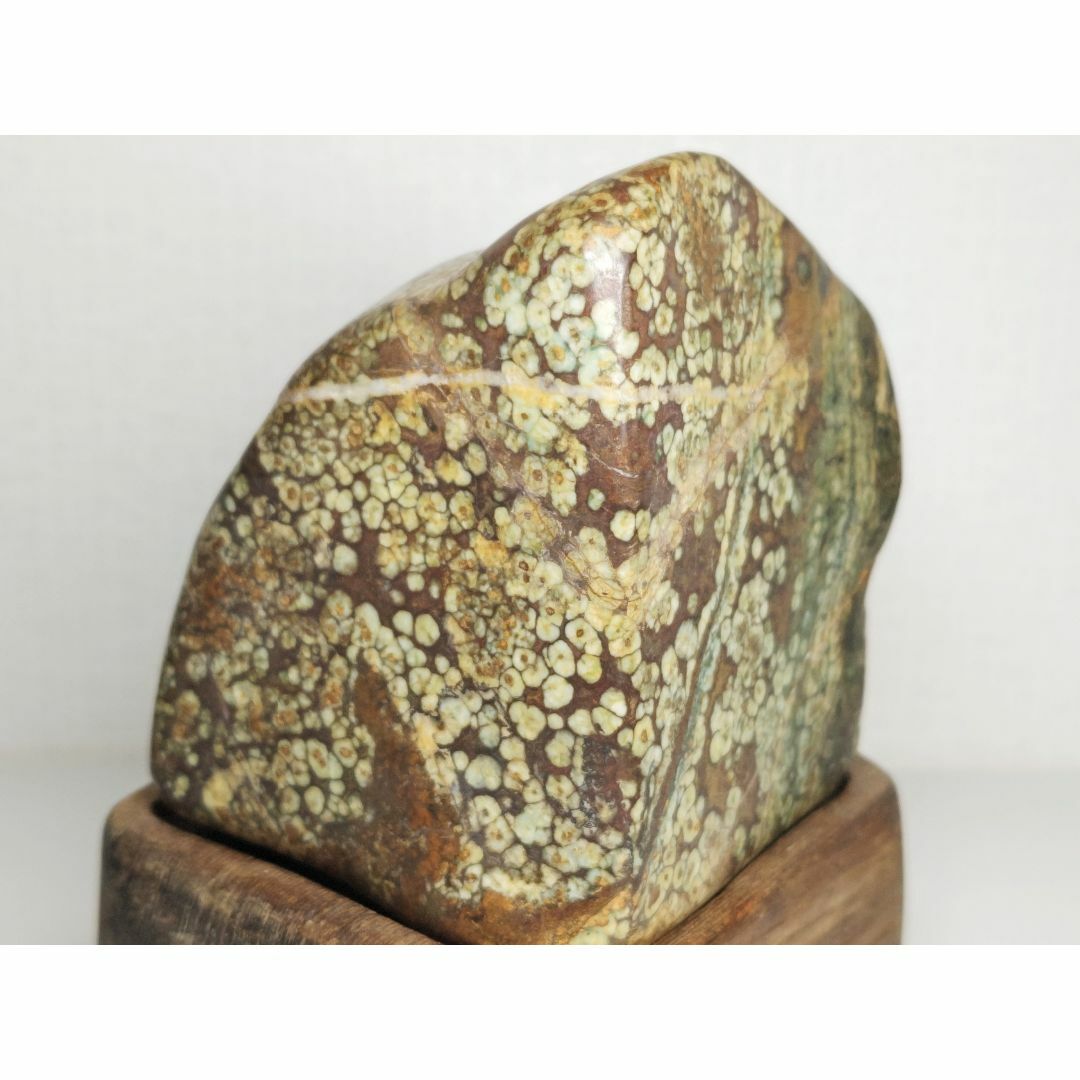 孔雀石 1.1kg 根尾 紋石 赤石 鑑賞石 原石 鉱物 自然石 水石 置物