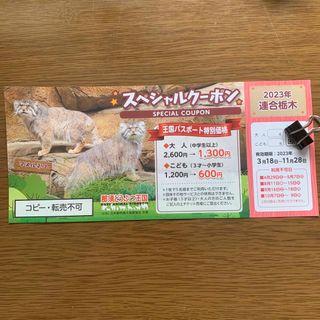 那須どうぶつ王国　半額　スペシャルクーポン　1枚　5名まで利用可能　どうぶつ王国(動物園)