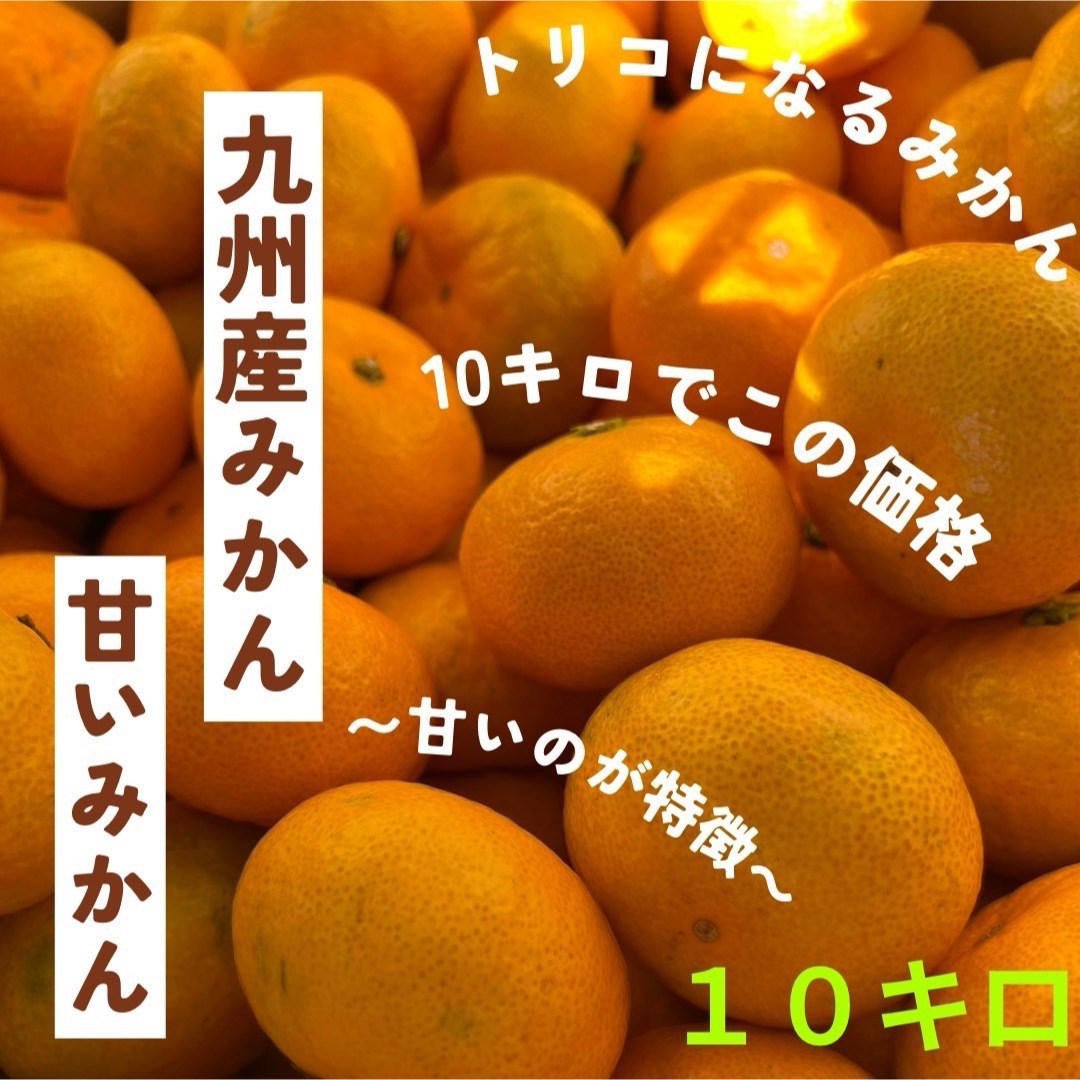 超お得！土日セール！！九州産　美味しい　みかん　大容量　10キロ　 食品/飲料/酒の食品(フルーツ)の商品写真