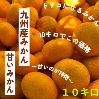 超お得！土日セール！！九州産　美味しい　みかん　大容量　10キロ　(フルーツ)