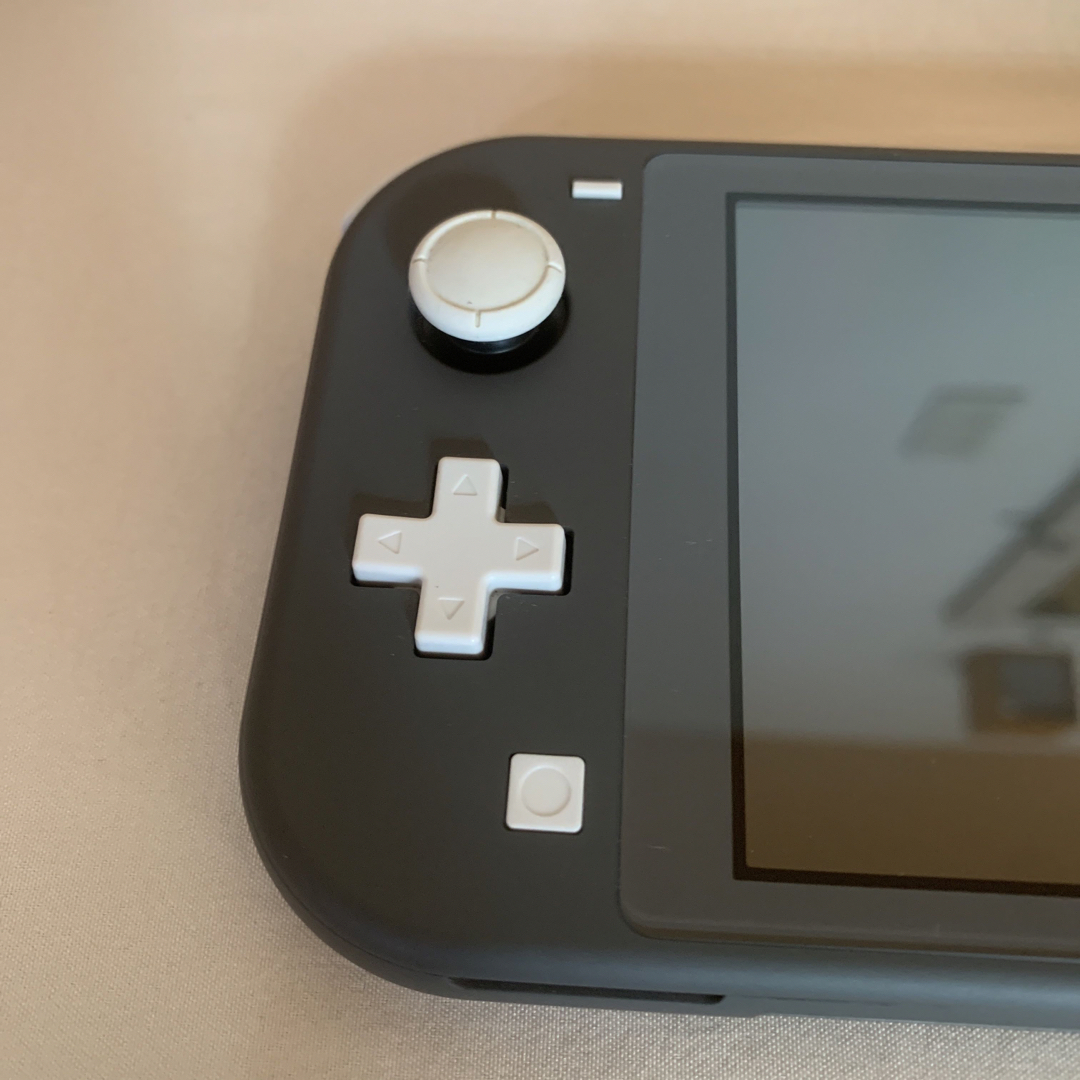 Nintendo Switch Nintendo Switch Liteグレー&あつまれどうぶつの森