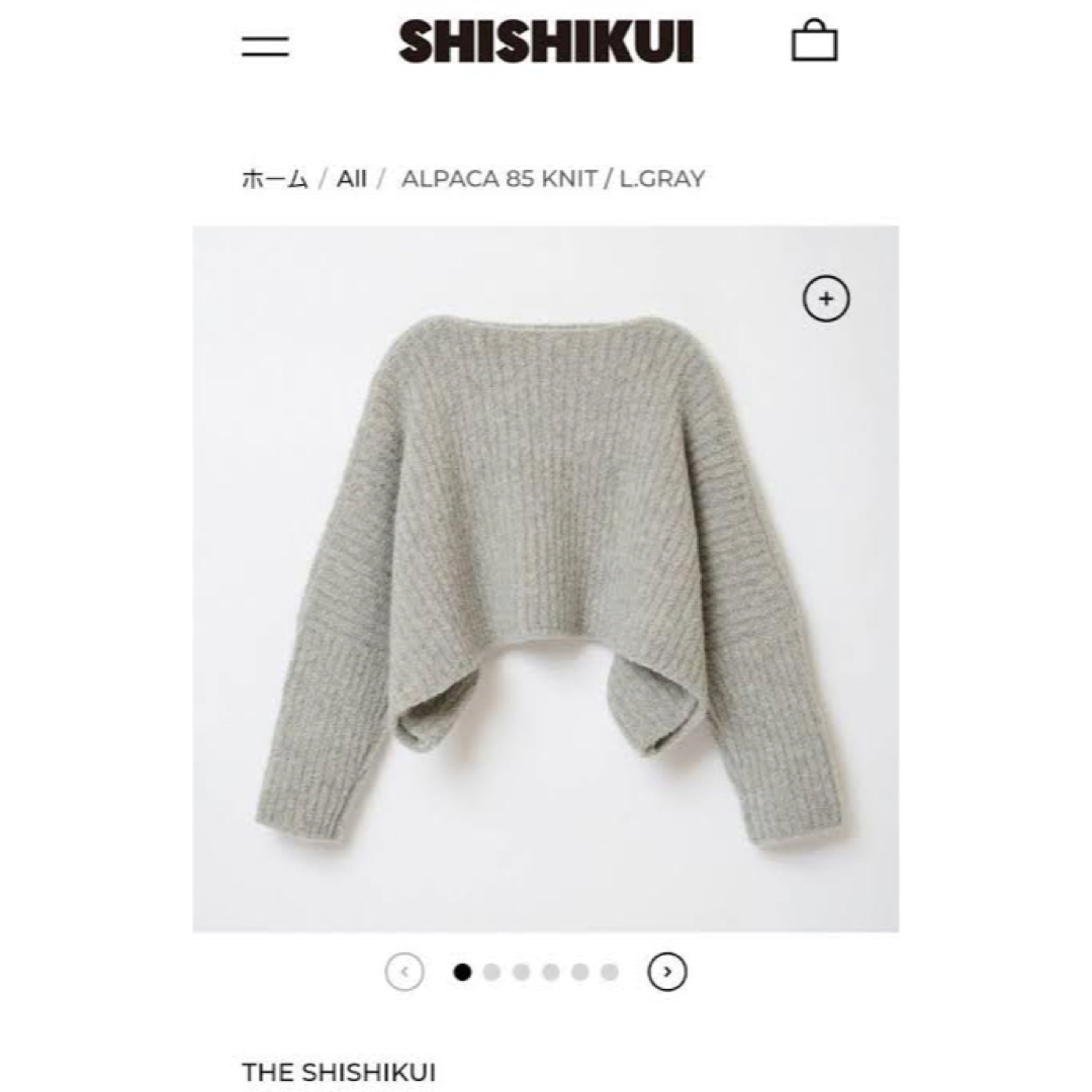 BEAMS(ビームス)のシシクイ　ニット レディースのトップス(ニット/セーター)の商品写真