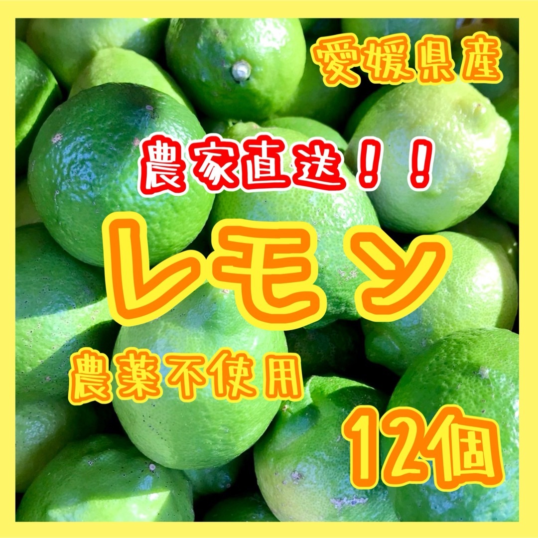 愛媛県産 農薬不使用 グリーンレモン12個 ⑤国産レモン 果物 国産 食品/飲料/酒の食品(フルーツ)の商品写真