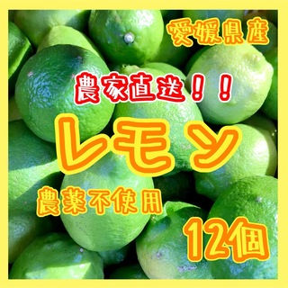 愛媛県産 農薬不使用 グリーンレモン12個 ⑤国産レモン 果物 国産(フルーツ)