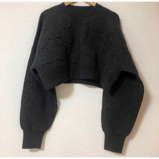 ENFOLD - ENFOLD(エンフォルド) O EMBOSS CROPPED PULLOVERの通販 by