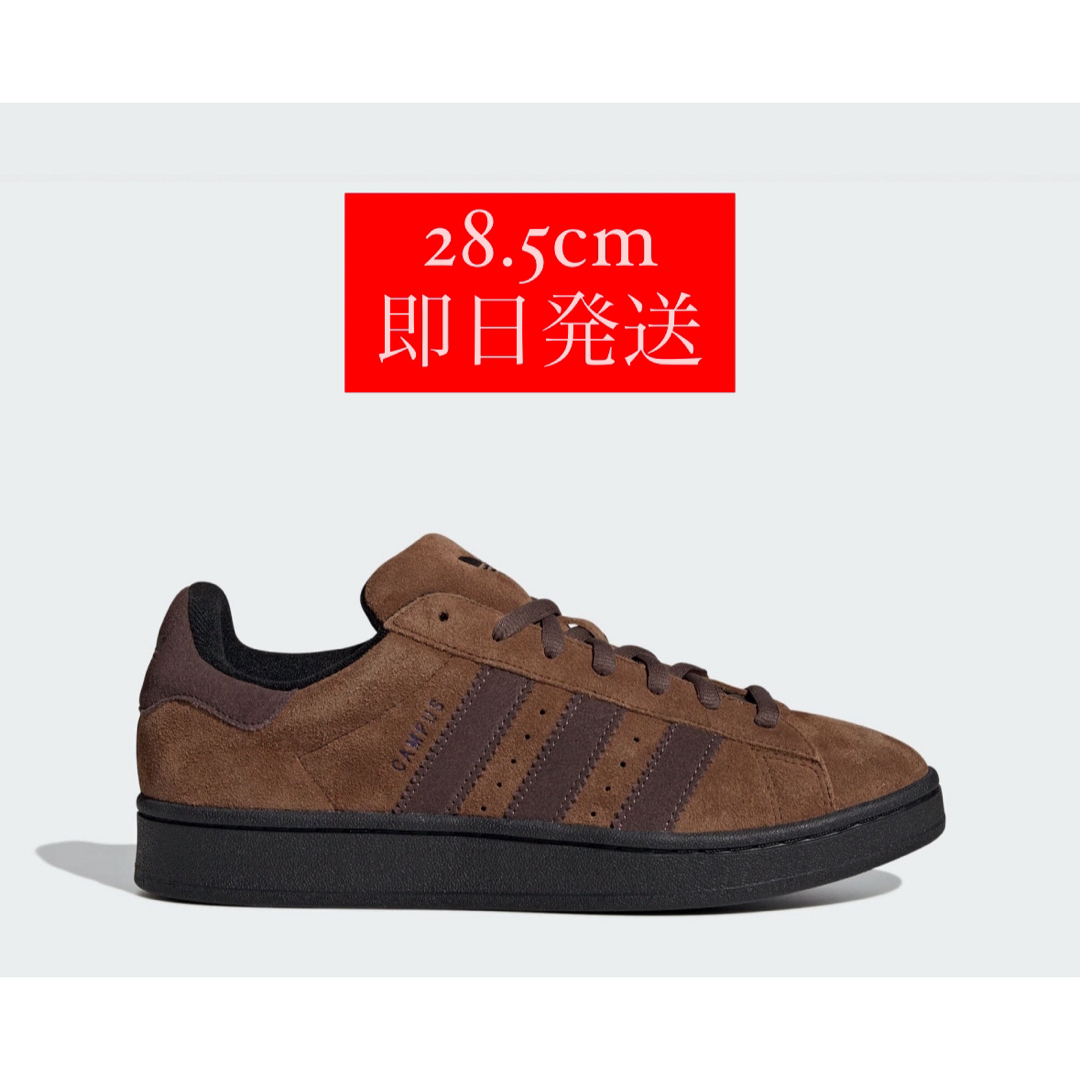 柴田ひかり　adidas Originals campus   28.5cm