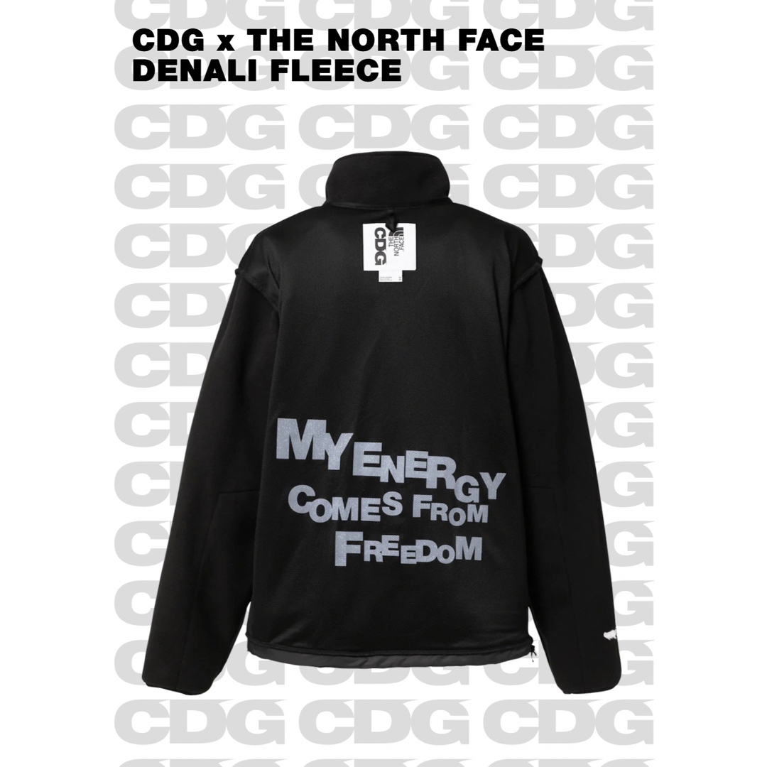 Lサイズ The North Face CDG デナリ フリース ジャケット