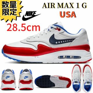 ナイキ(NIKE)のラスト1 日本未発売 即納 28.5㎝ ナイキ エアマックス 1G USA(シューズ)