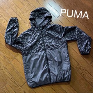 プーマ(PUMA)の専用‼️プーマ　ウインドブレーカー　(その他)