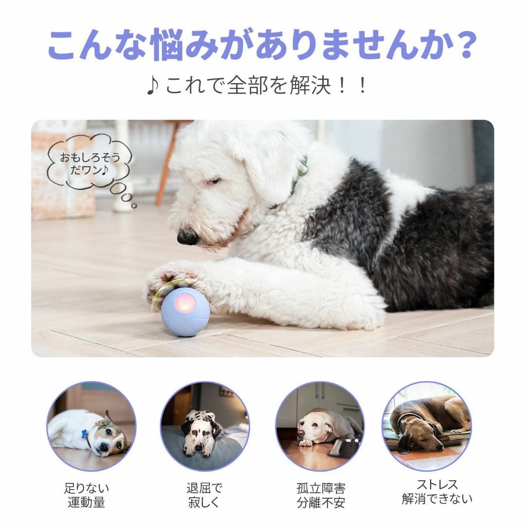 【色:パープル】Cheerble 犬ボール 犬おもちゃ 電動ボール 光るボール