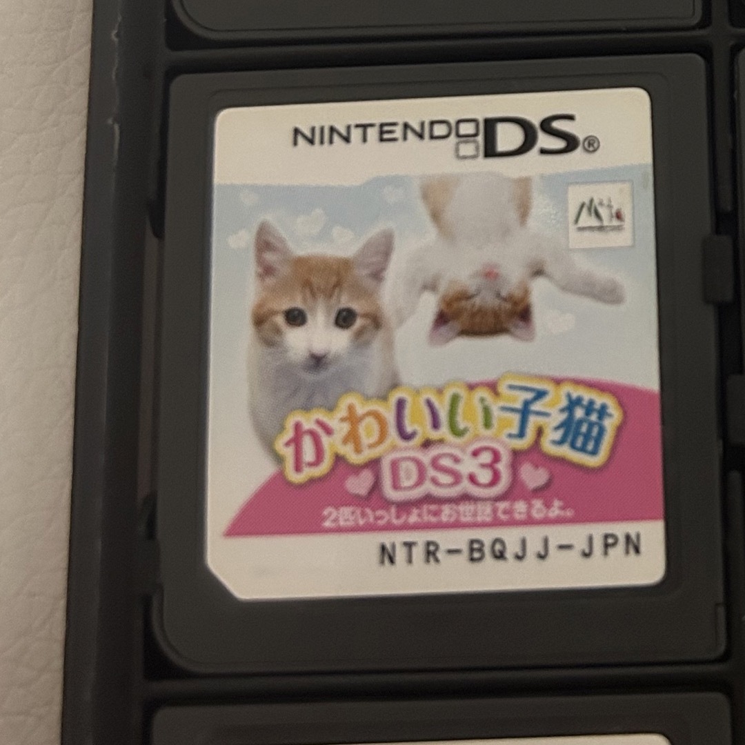 DS ソフト かわいい子猫 エンタメ/ホビーのゲームソフト/ゲーム機本体(家庭用ゲームソフト)の商品写真