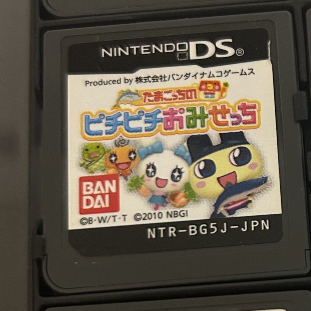 BANDAI(バンダイ)のDS ソフト たまごっち エンタメ/ホビーのゲームソフト/ゲーム機本体(家庭用ゲームソフト)の商品写真