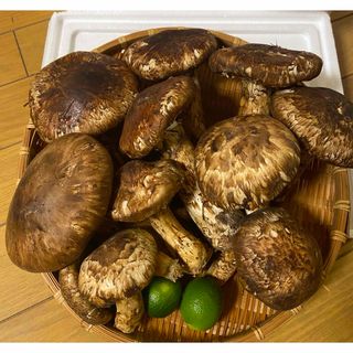 中国産 松茸 約1kg まつたけ マツタケ。(野菜)