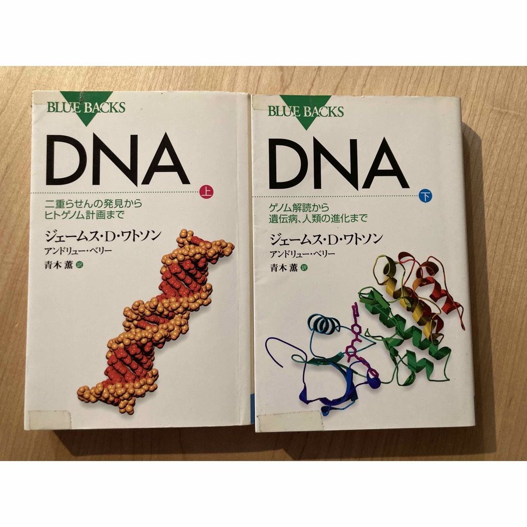 講談社(コウダンシャ)の【2冊セット】ＤＮＡ ジェームス・Ｄ．ワトソン／著　アンドリュー・ベリー／著 エンタメ/ホビーの本(その他)の商品写真