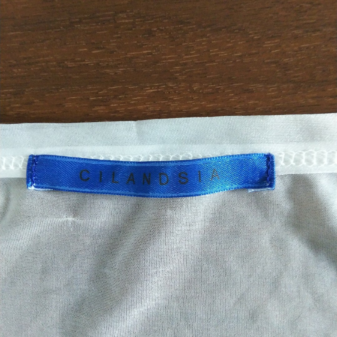 CILANDSIA シフォンTシャツ メンズのトップス(Tシャツ/カットソー(半袖/袖なし))の商品写真