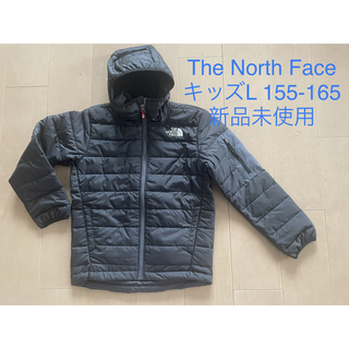 ザノースフェイス(THE NORTH FACE)の海外限定　ノースフェイス中綿ジャケット　 新品未使用　キッズL 150 160(ジャケット/上着)