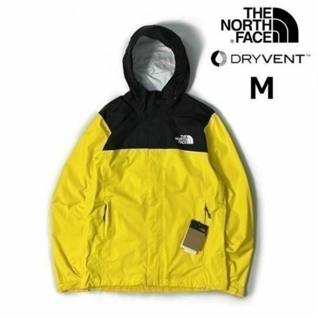 ザノースフェイス☆THE NORTH FACE　プリントロゴ　ナイロンジャケット