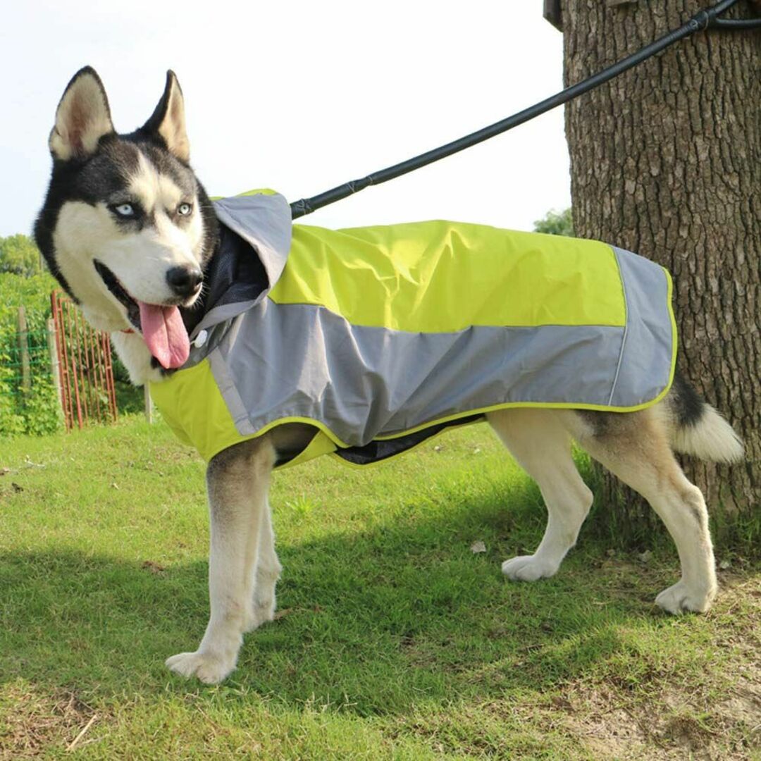 【色: 緑】犬用 レインコート ドッグウェア 散歩 雨用 ペット 小型犬 中型犬