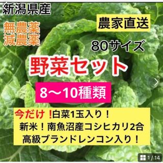 10/22迄！白菜1玉！新米！南魚沼産コシヒカリ入り！新潟県産野菜セッ80サイズ(野菜)