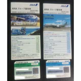 エーエヌエー(ゼンニッポンクウユ)(ANA(全日本空輸))の ANA株主優待券　２枚セット(航空券)