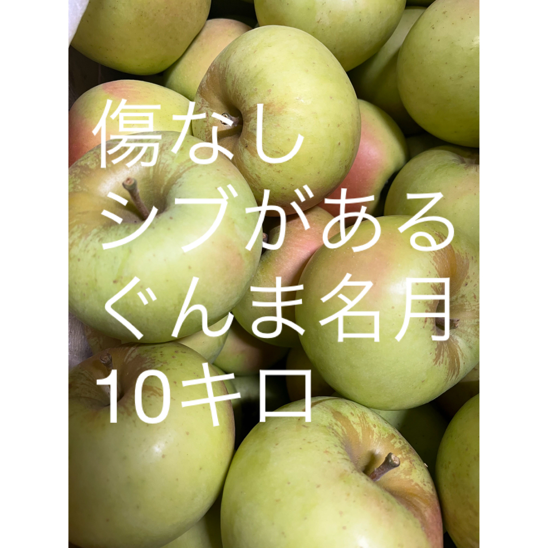 青森県産　ぐんま名月　訳あり　りんご　10キロ　送料無料　産地直送　ご家庭