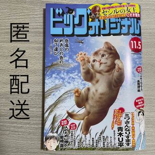 ショウガクカン(小学館)のビッグコミックオリジナル　2023.11.5(漫画雑誌)