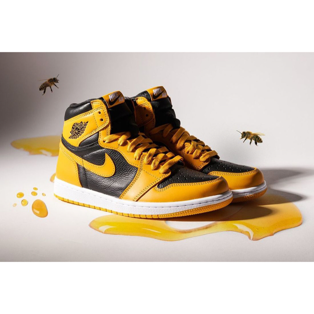 Jordan Brand(NIKE) - ナイキ エアジョーダン1 ハイ OG パラン 29