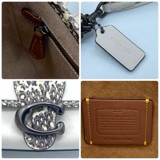 COACH - 《未使用に近い 超美品》 コーチ ソフトタビー パイソン C金具 ...