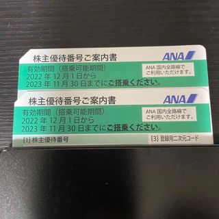 エーエヌエー(ゼンニッポンクウユ)(ANA(全日本空輸))のANA 株主優待券【有効期限: 2023/11/30】(航空券)