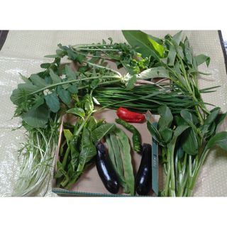 値下げ無農薬野菜コンパクト(野菜)