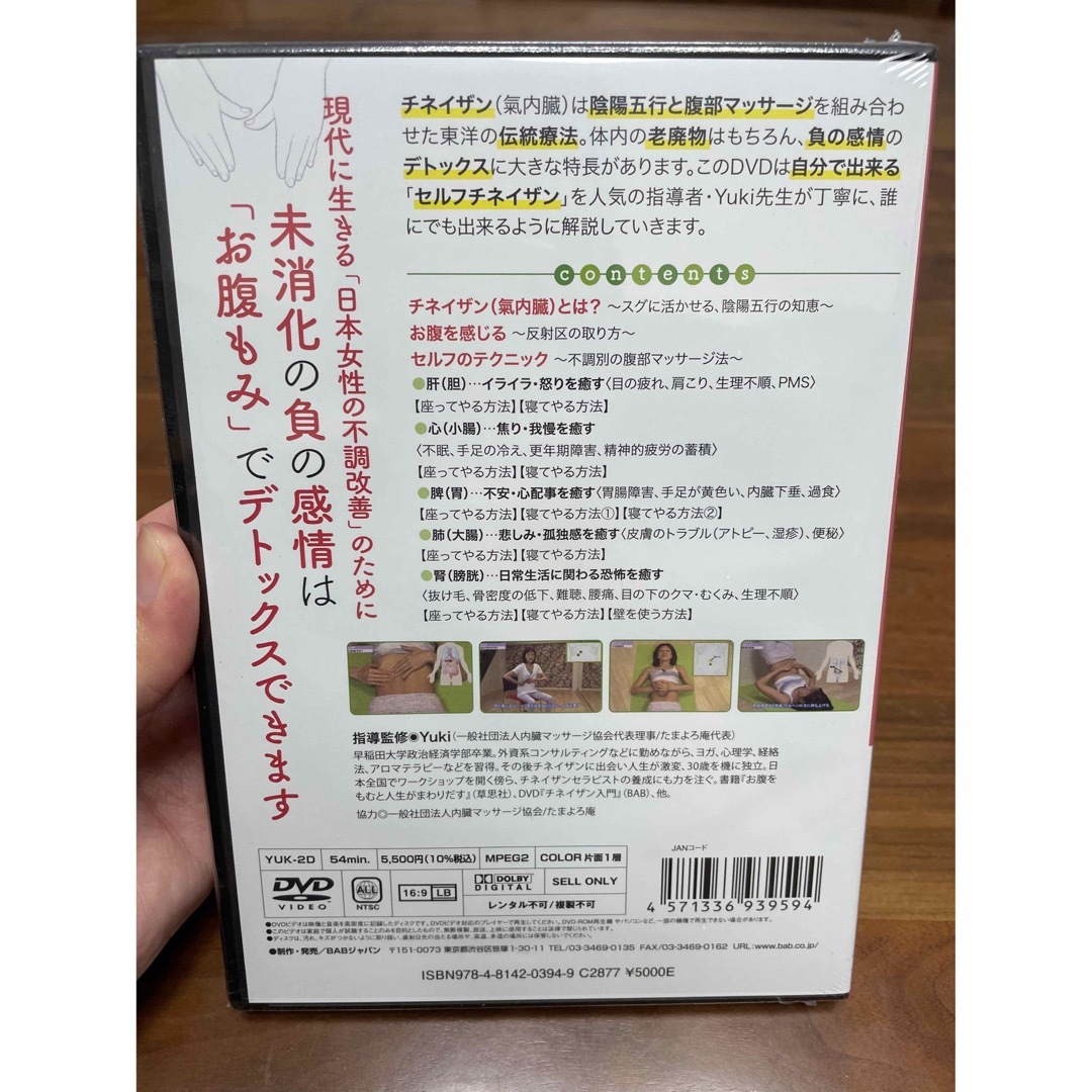 【匿名配送】チネイザン入門　セルフチネイザン　DVD エンタメ/ホビーのDVD/ブルーレイ(趣味/実用)の商品写真