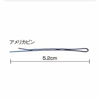 アメリカピン450ｇ　ダリア　Daria　ヘアピン　ヘアアクセサリー　アメピン(ヘアピン)