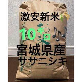 令和5年産 ササニシキ 送料無料 精米無料サービス中(米/穀物)