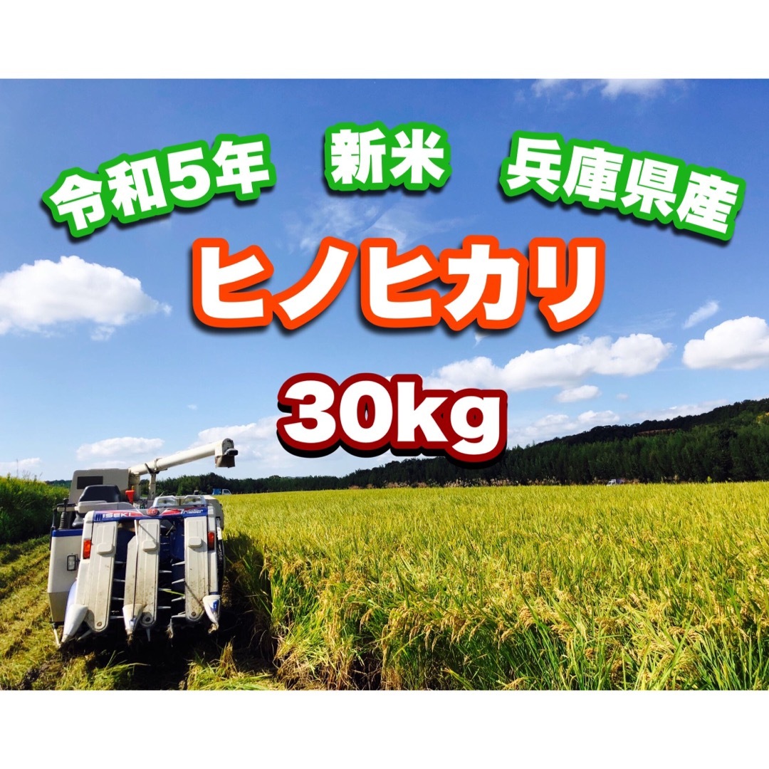 新米　30kg-　兵庫県産ヒノヒカリ　令和5年度