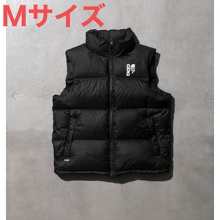 The North Face x CDG Nuptse Vest \